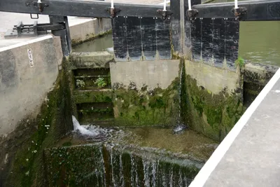 DSC_2719 (Large).JPG